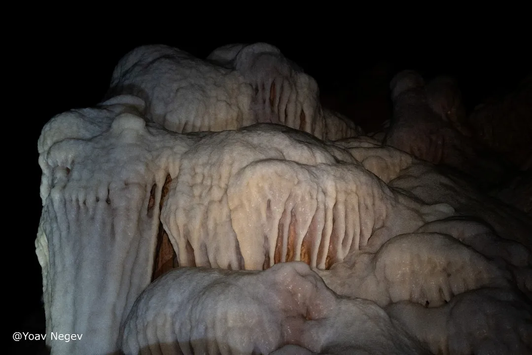 Credit pic_Yoav Negev