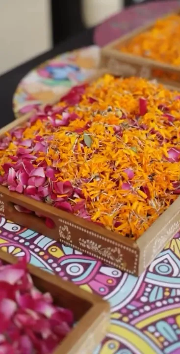 Holi festivities unfold at The Leela Gandhinagar