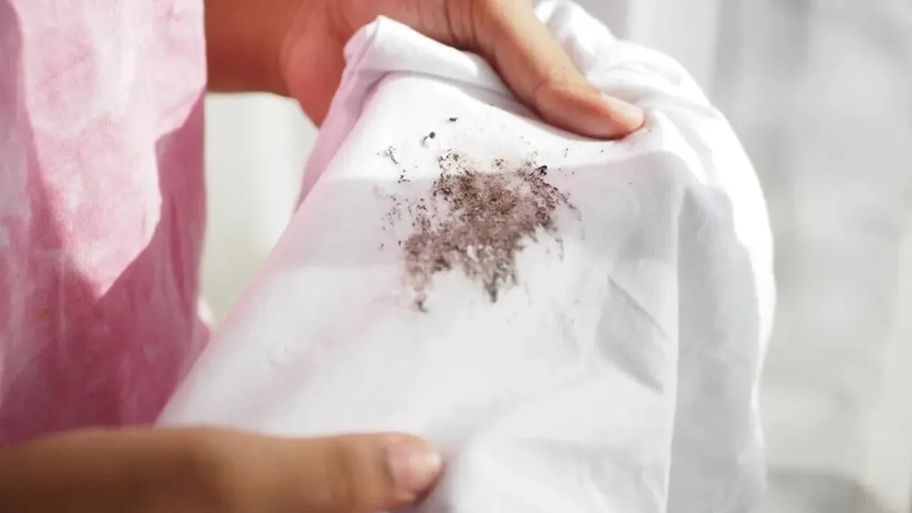 Cleaning Tips 1