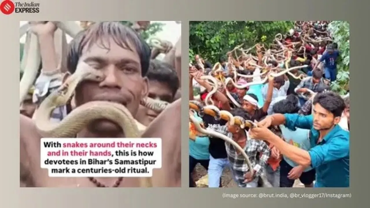 Nag Panchami ritual goes viral