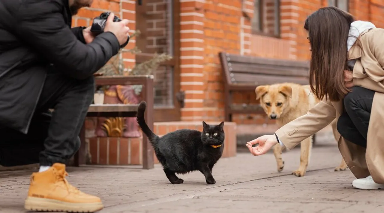  10 Interesting Trends in the Pet Industry