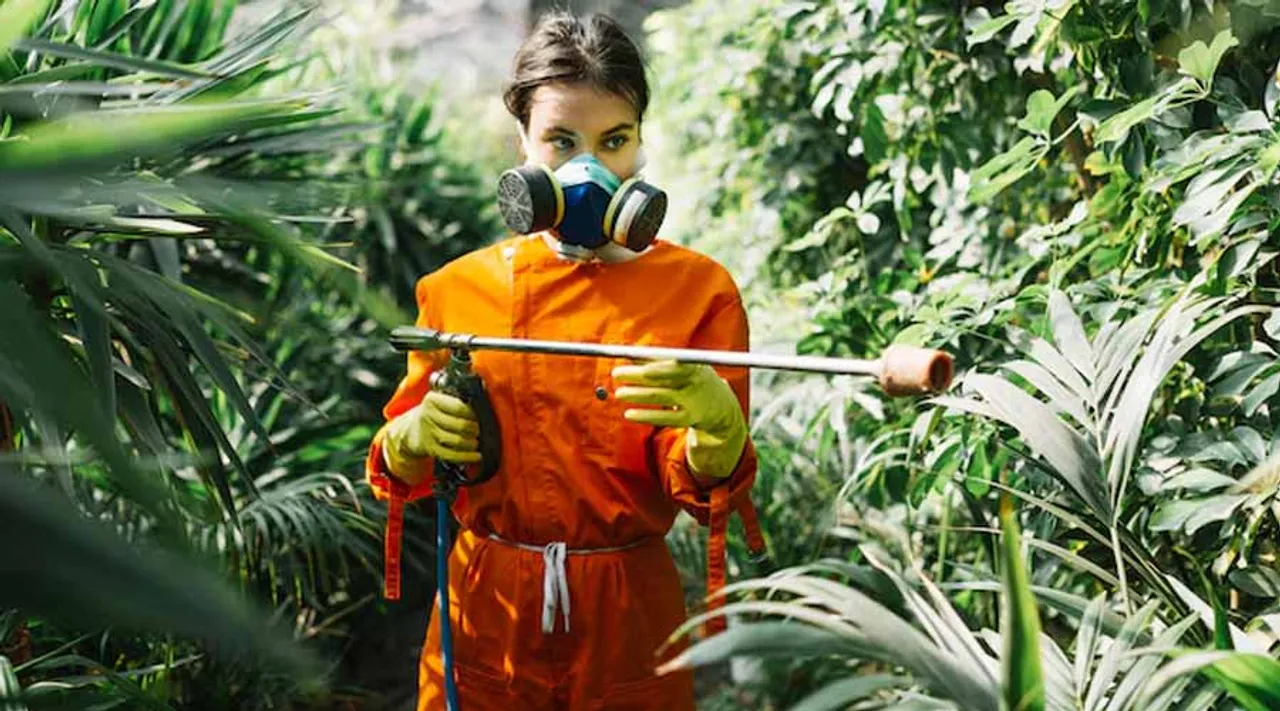  How to Prevent Pest Infestations in Agriculture with Minimal Environmental Impact
