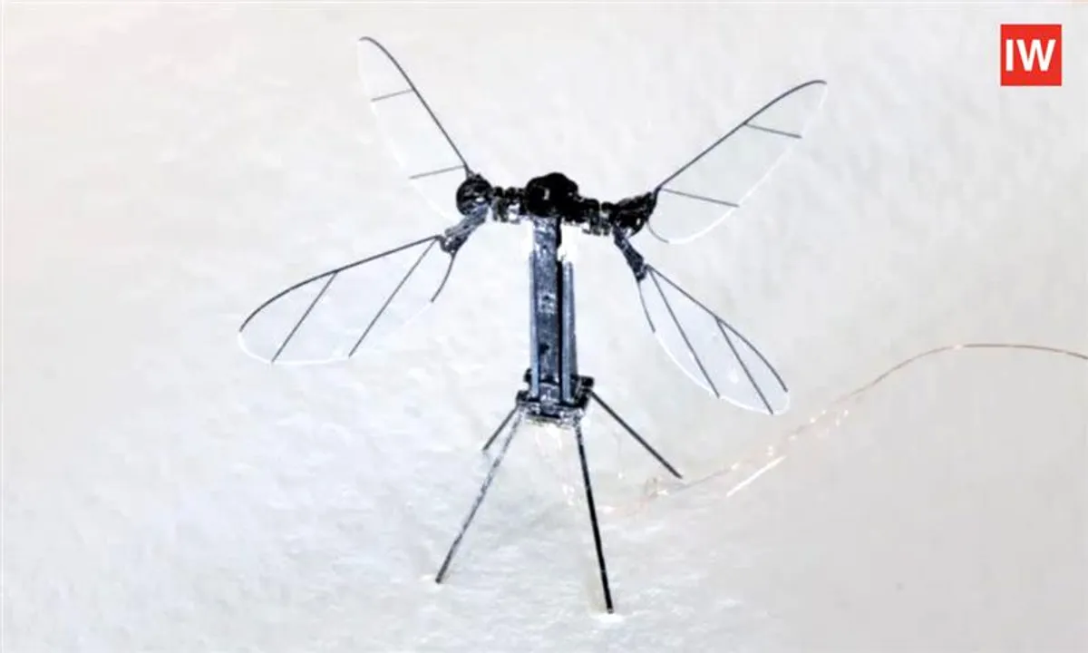  Invisible and Lethal: China’s Mosquito Drone Could Change War Forever