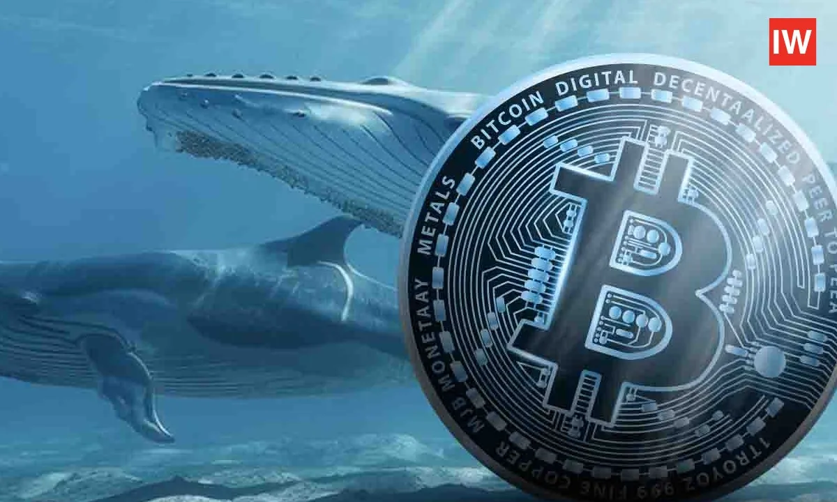  Crypto Price Today: Bitcoin Falls to $112,830 as Whale Sell-Off Shakes