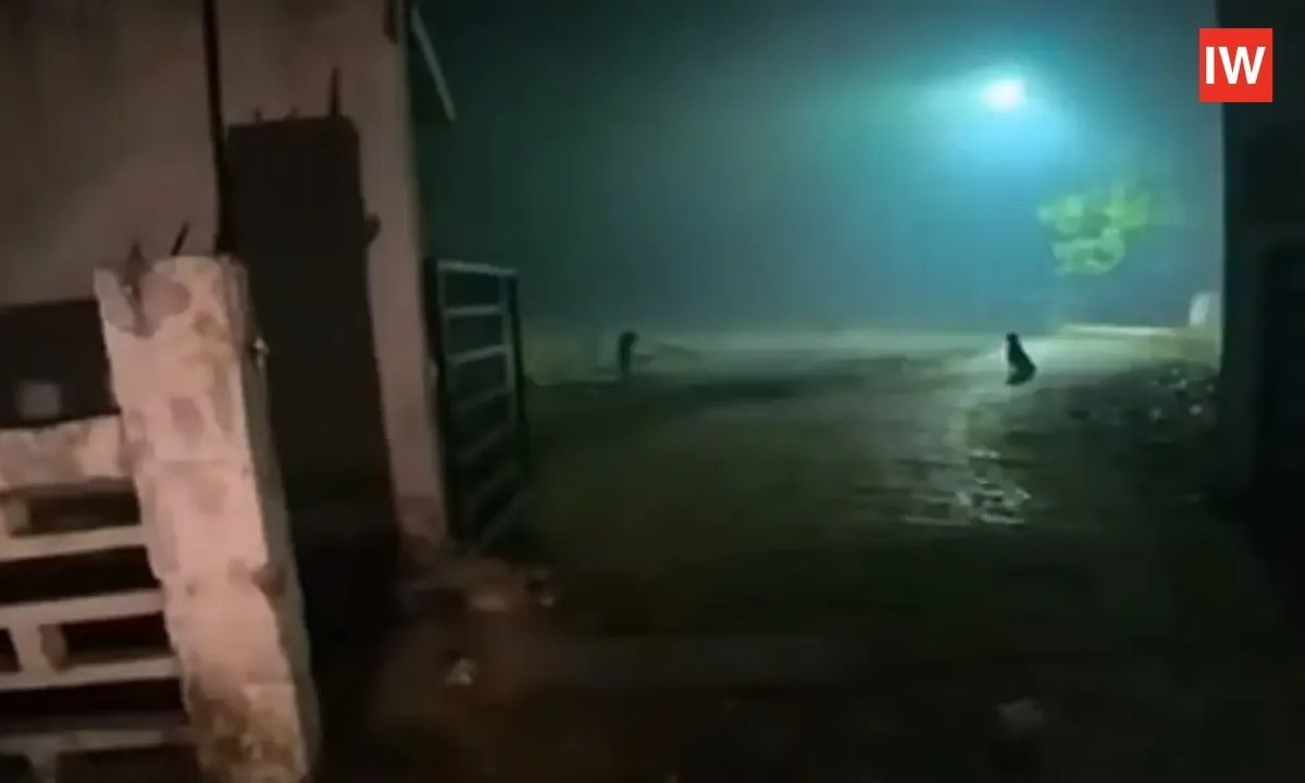 Woman Orders Food to Graveyard, Horror Delivery Prank Goes Viral