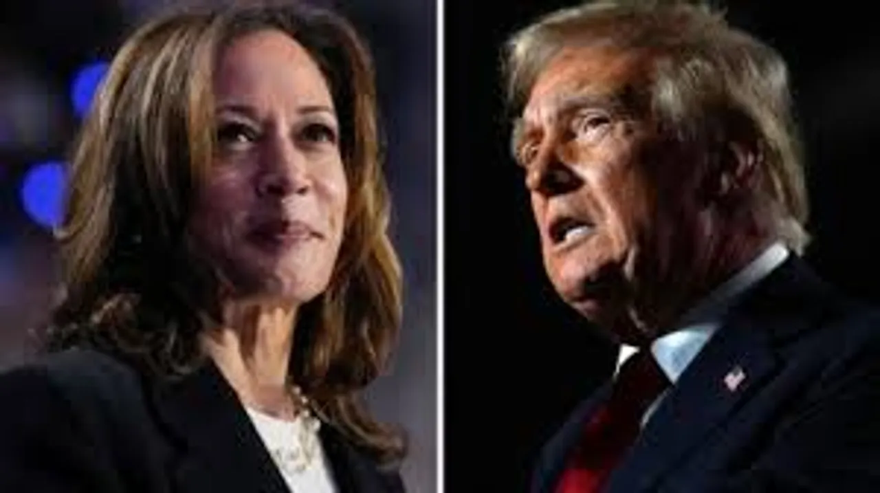 trump harris