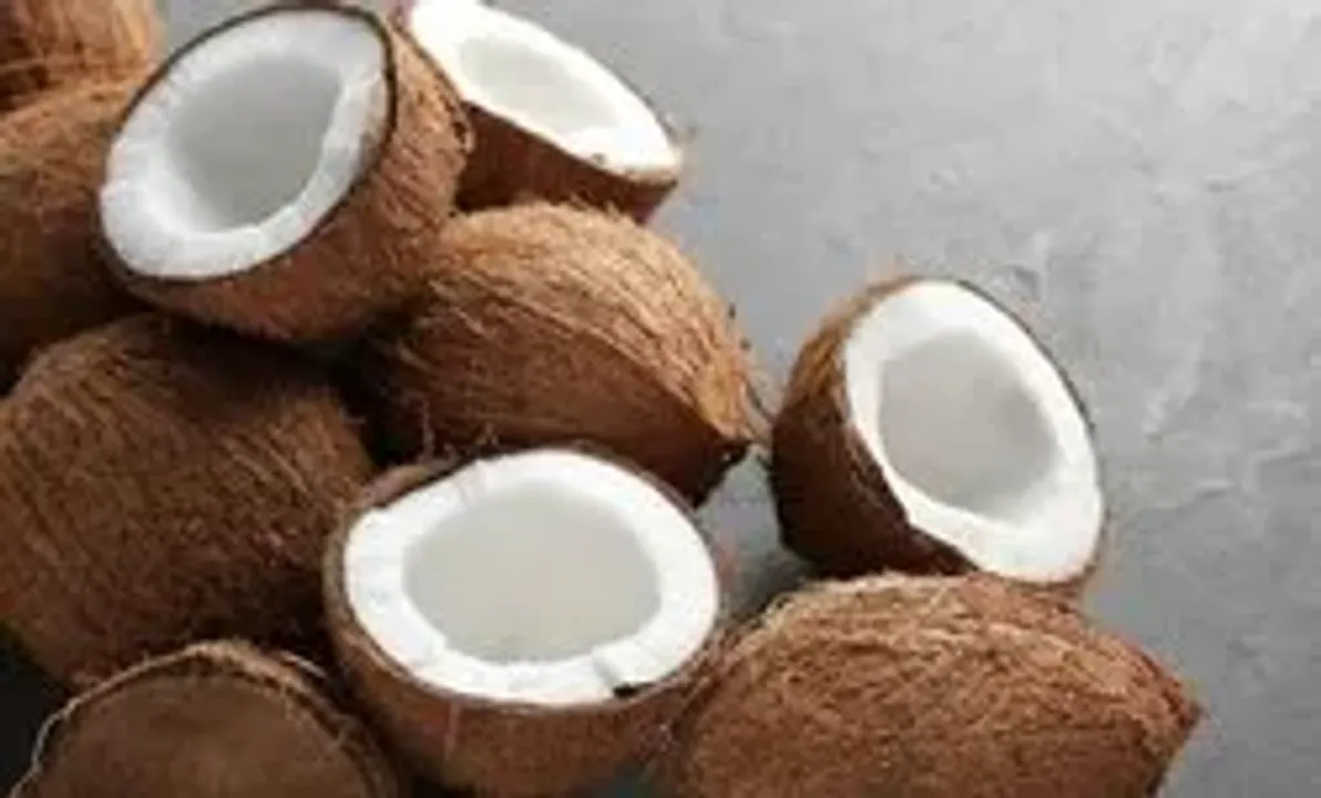 coconut