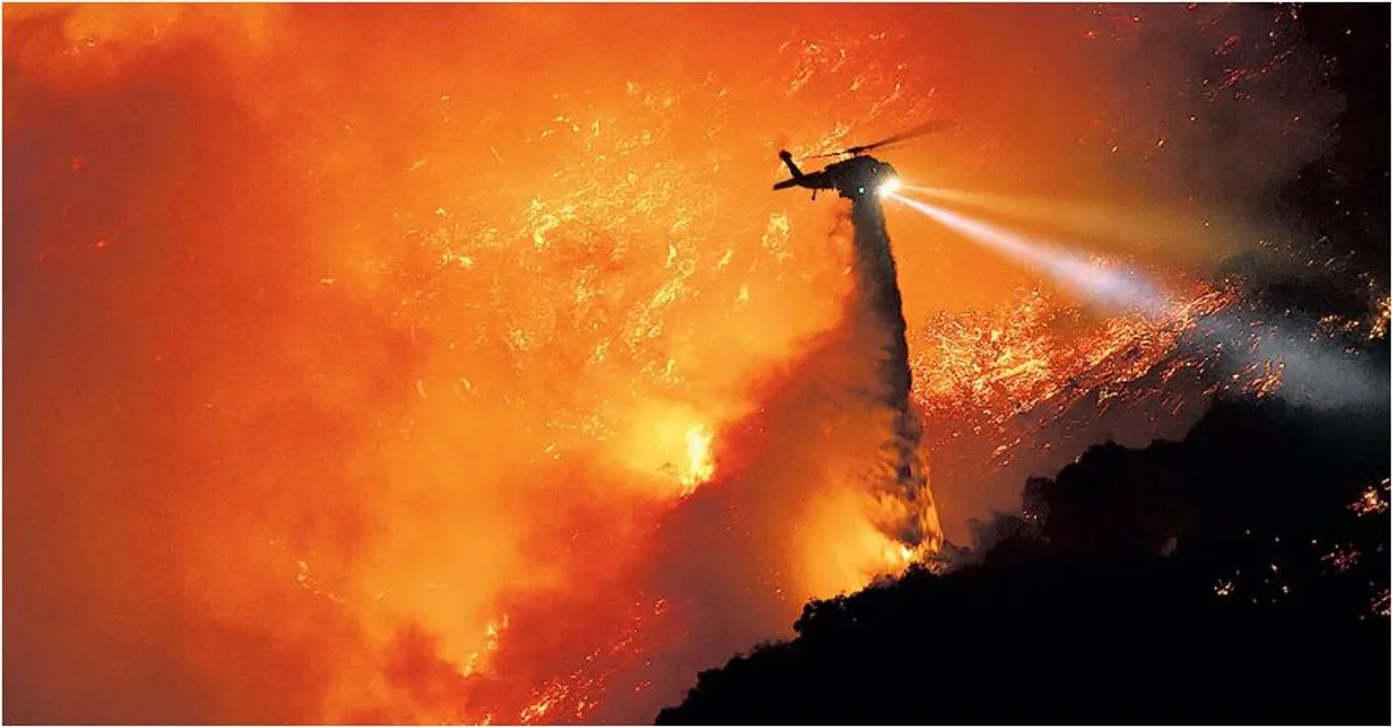 forest fire