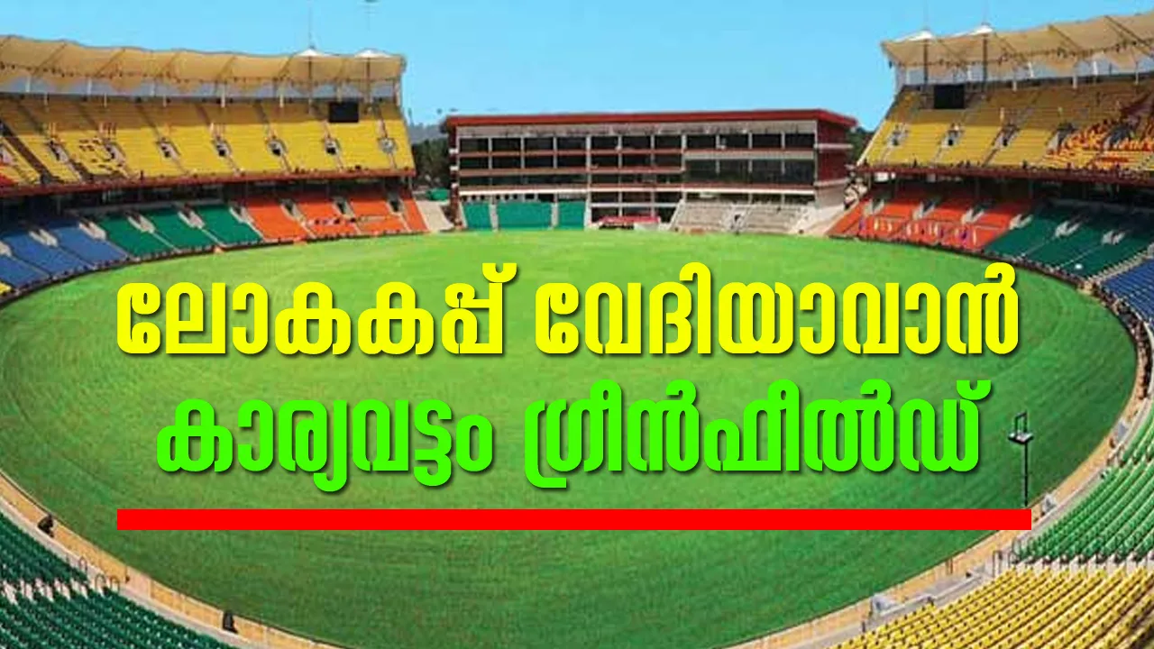 dgfdfs