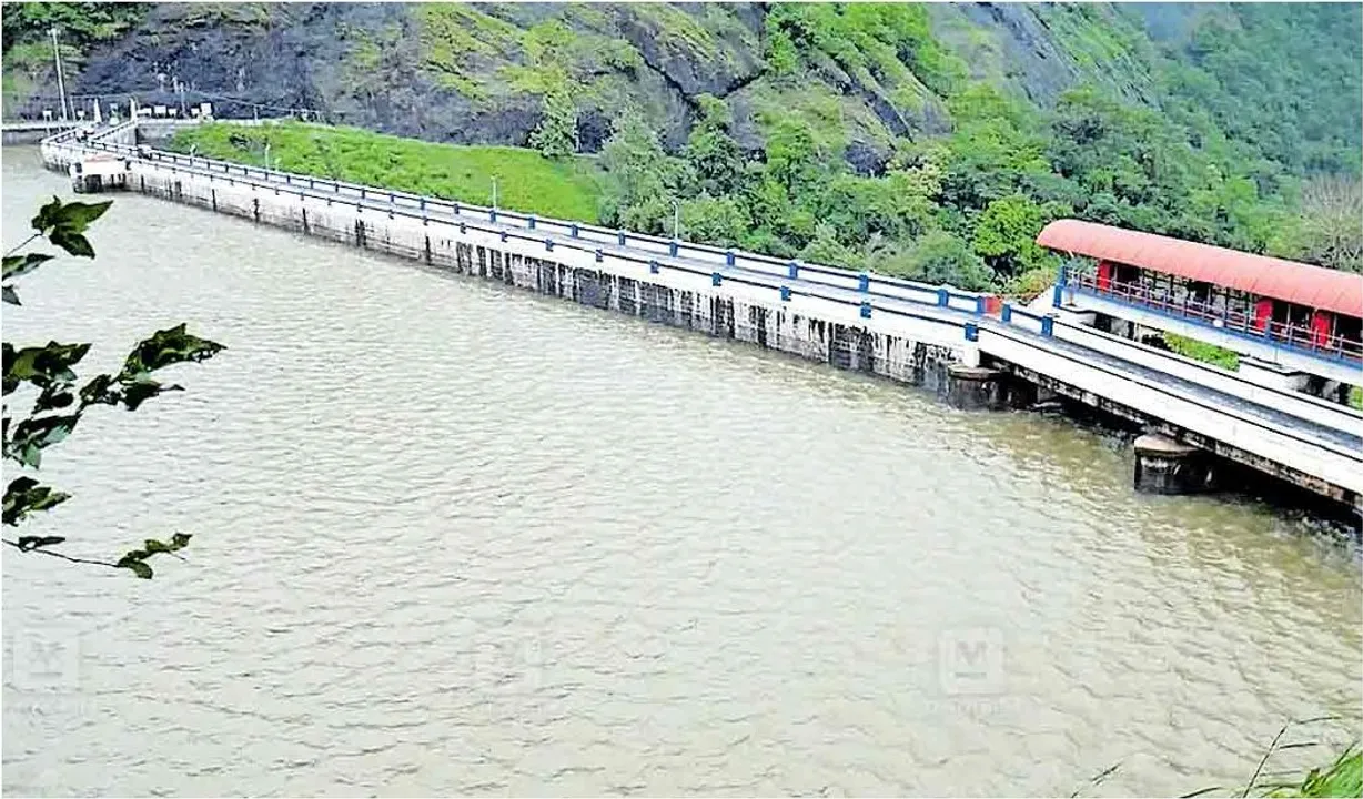 DAM 