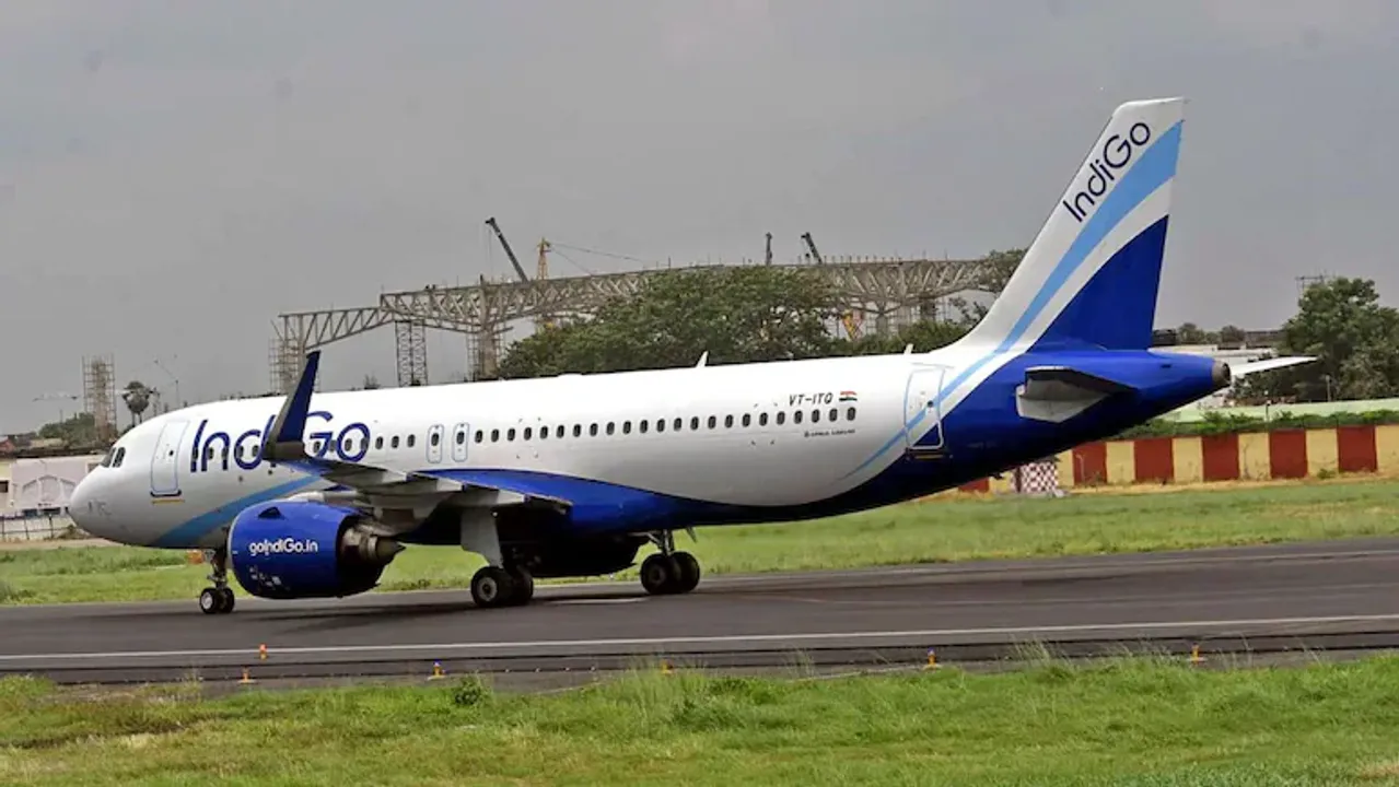 INDIGO