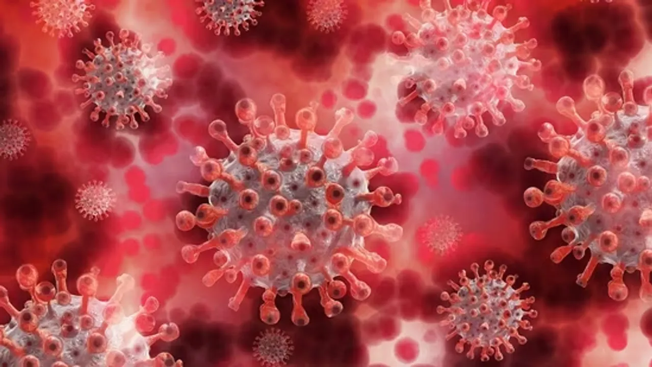 NIPHA VIRUS