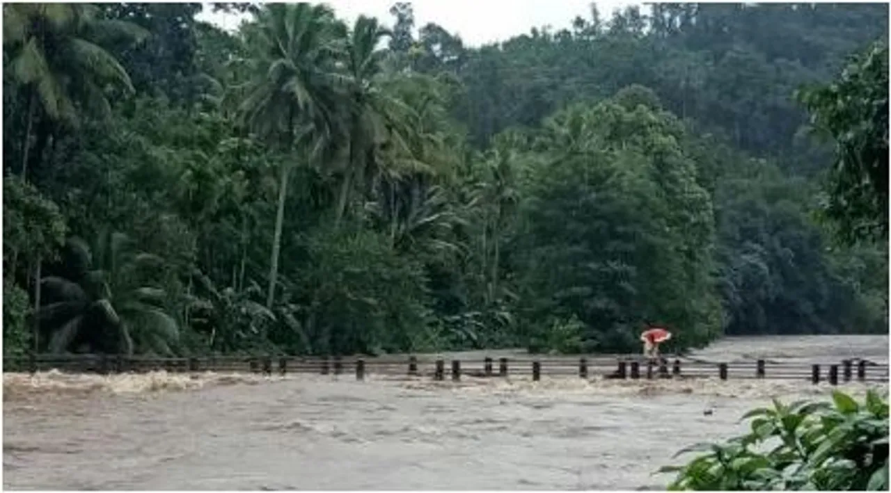 RAIN RIVERT