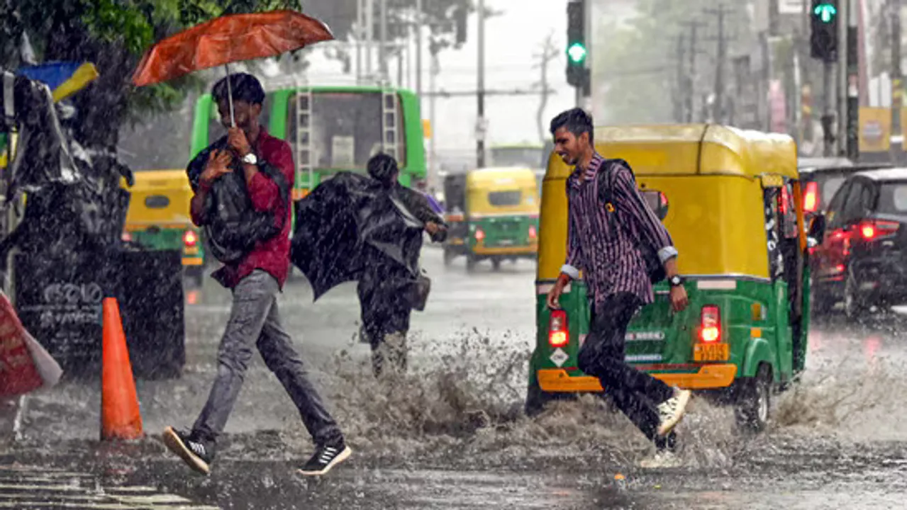 rain