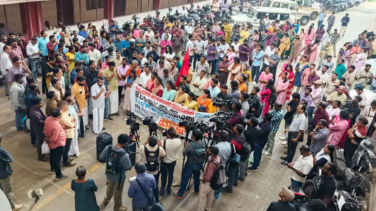 WhatsApp Image 2025-11-17 at 3.46.13 PM