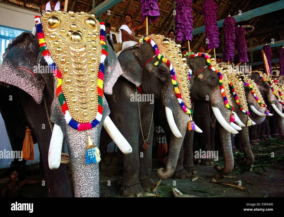 utsavam-elepha