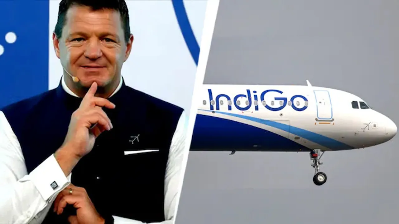 indigo ceo