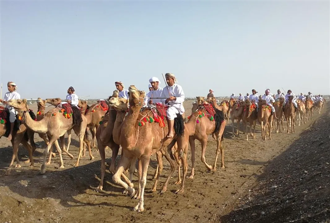 WhatsApp Image 2026-02-05 at 11.26.55 AM (1)