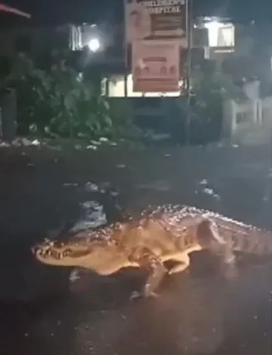 maharastra 