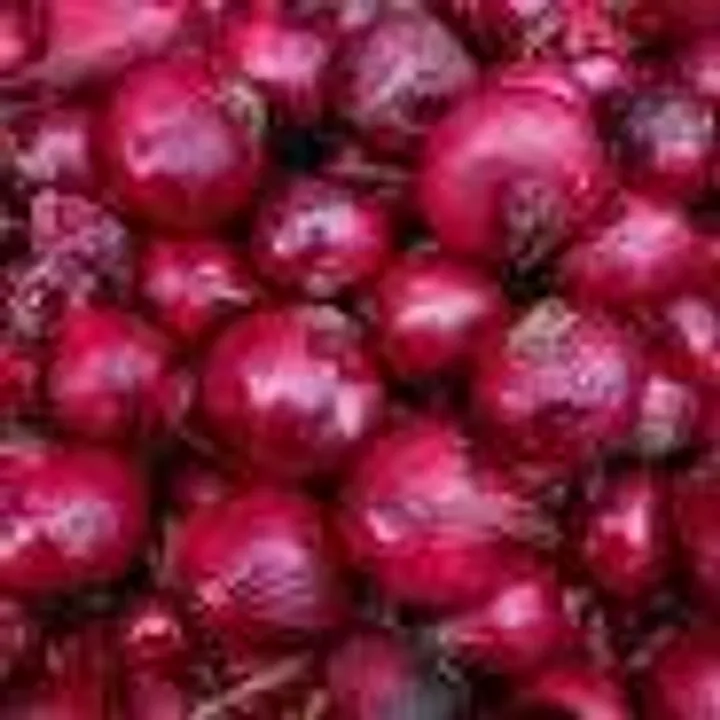onion ban