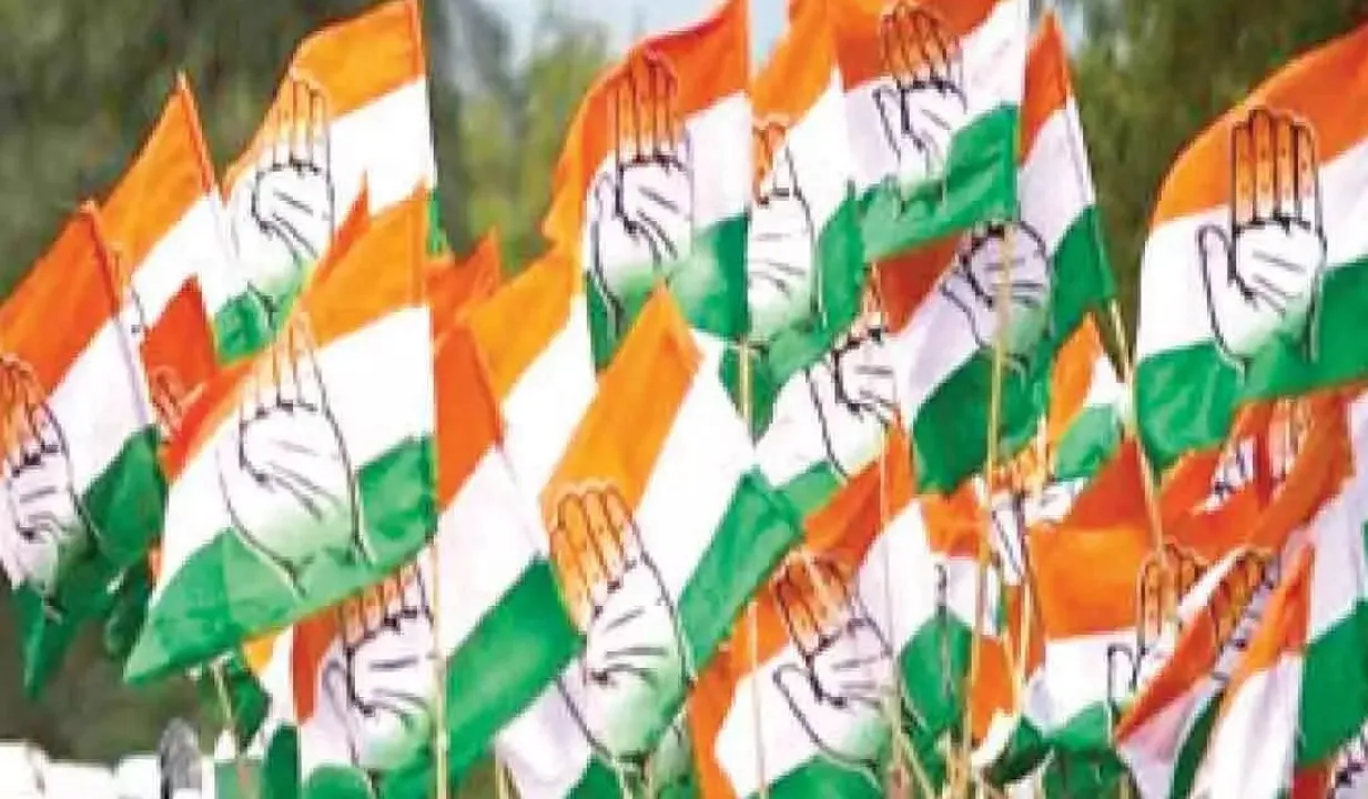 congress flag