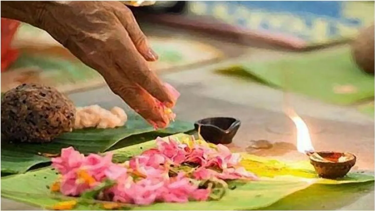 karkkadaka vavu