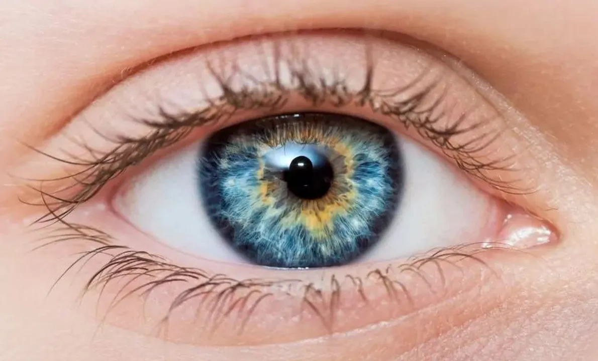 eyes