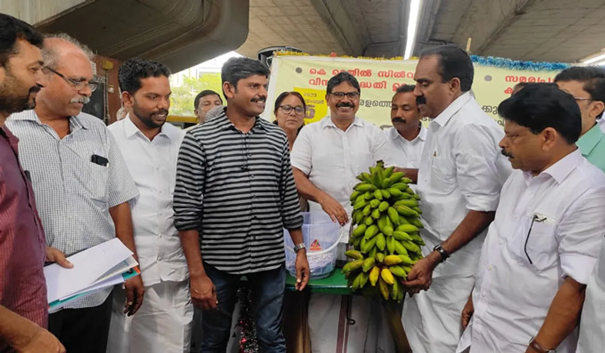 ആലുവയില്‍ കെ റെയില്‍ വാഴക്കുല ലേലം; തുക 40,300 രൂപ!