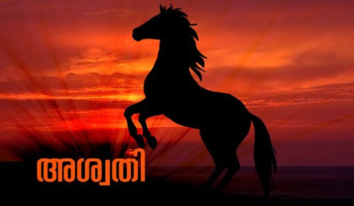 അശ്വതി നക്ഷത്രക്കാര്‍ക്ക് പുതുവര്‍ഷം എങ്ങനെ?