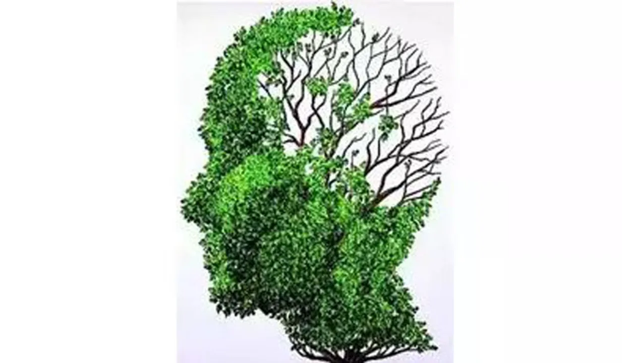കാലാവസ്ഥാ വ്യതിയാനം തലച്ചോറിന്റെ പ്രവർത്തനത്തെയും ബാധിക്കും: പഠനം