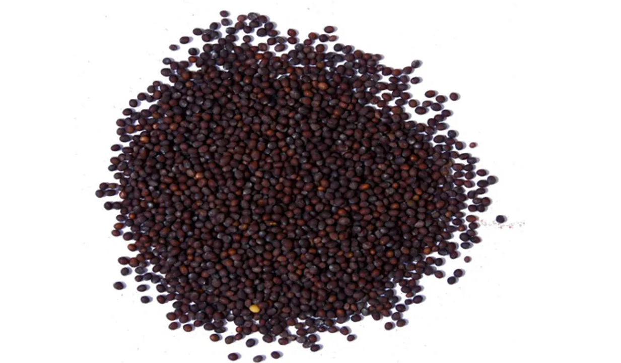 കടുകും വിശ്വാസവും 