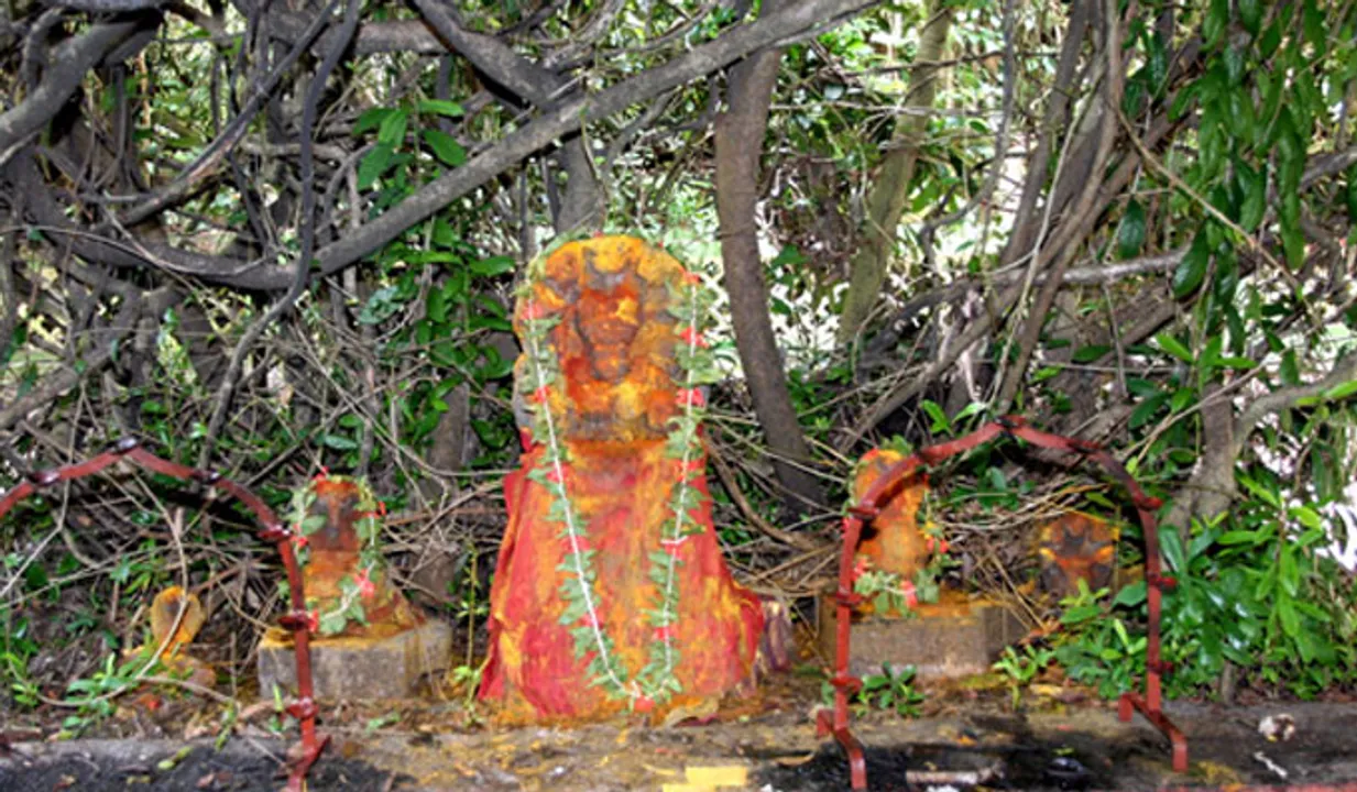 മണ്ണാറശ്ശാല ആയില്യം നവംബര്‍ 1ന് 