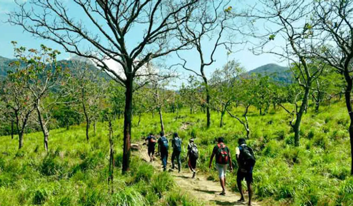 അഗസ്ത്യാര്‍കൂടത്തില്‍ ട്രക്കിങ്ങിനിടെ ഹൃദയാഘാതം; തമിഴ്‌നാട് സ്വദേശി മരിച്ചു
