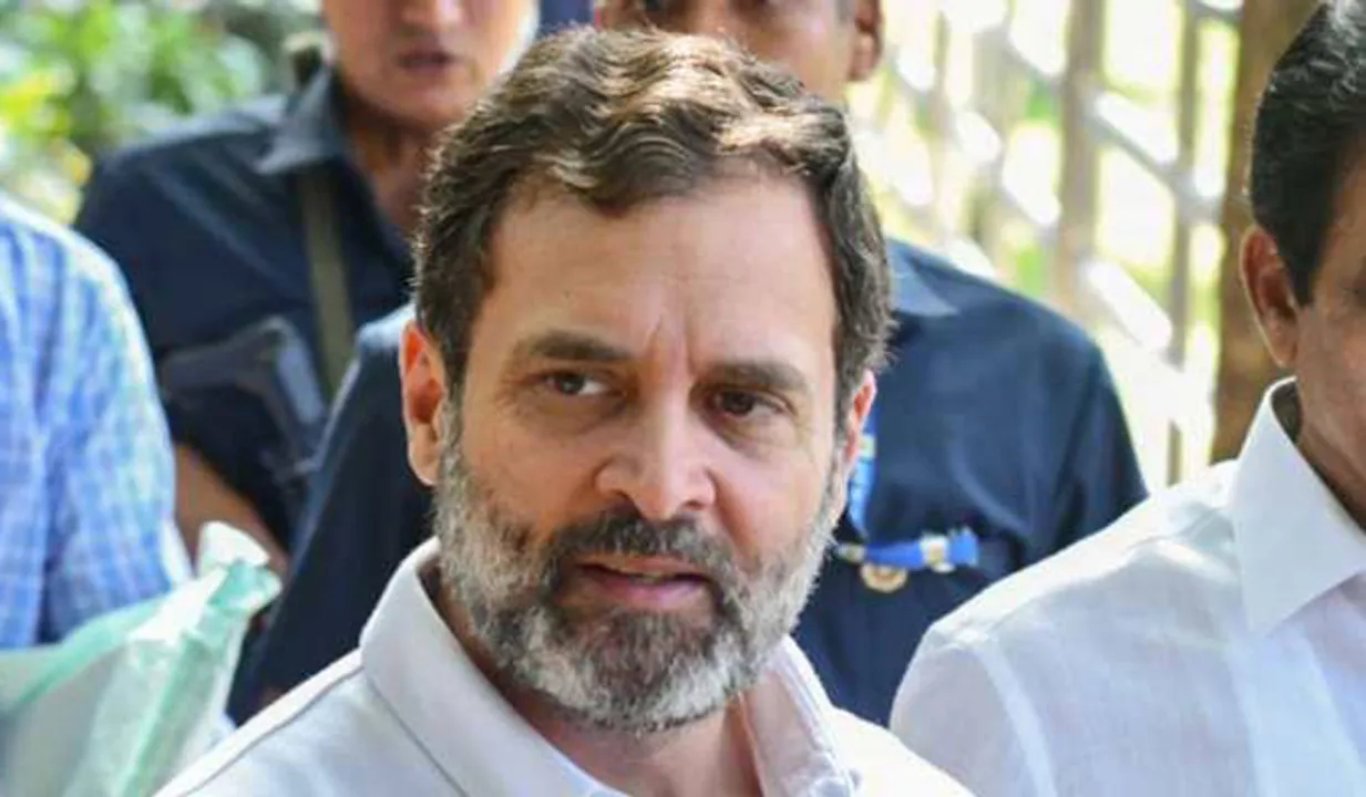 മോദിക്കെതിരായ പോക്കറ്റടിക്കാരന്‍ പരാമര്‍ശം; രാഹുലിനെതിരെ ഉടന്‍ നടപടിയെടുക്കണമെന്ന് ഡല്‍ഹി ഹൈക്കോടതി