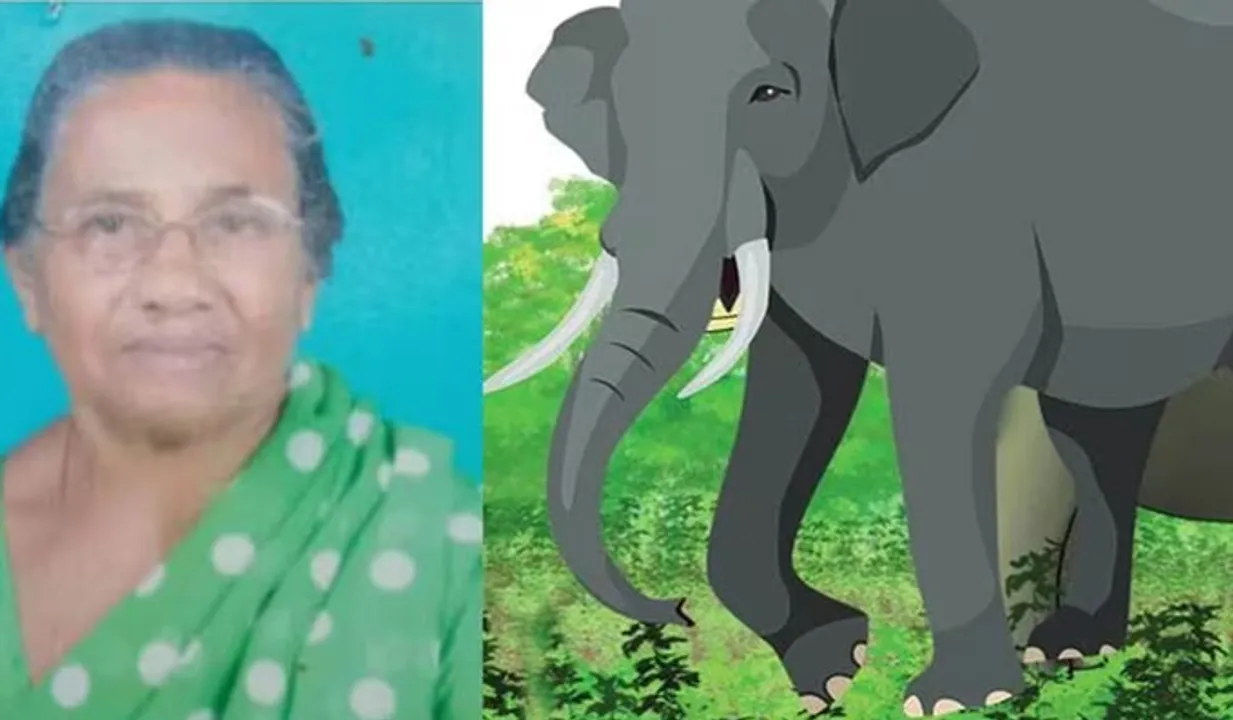 മന്ത്രി വരട്ടെ; കാട്ടാന ആക്രമണത്തില്‍ കൊല്ലപ്പെട്ട വയോധികയുടെ മൃതദേഹവുമായി പ്രതിഷേധം