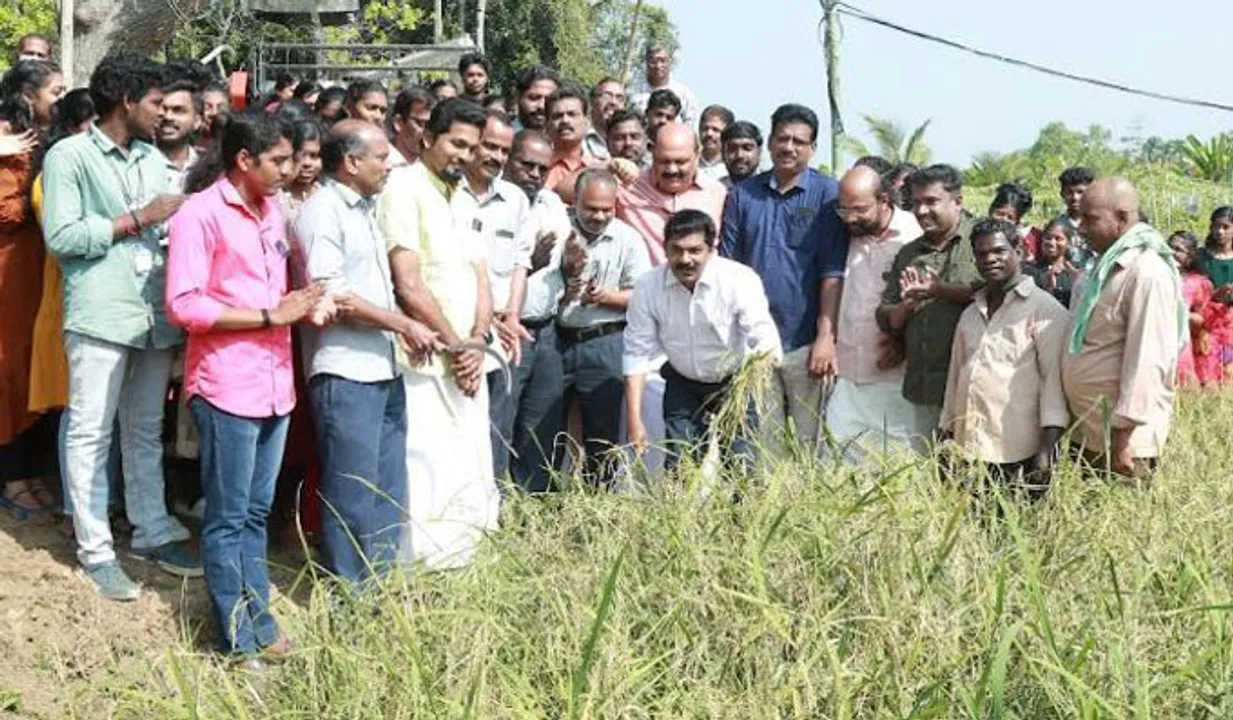 പുതുവര്‍ഷത്തില്‍ പുത്തനുണര്‍വ്; നൂറുമേനി വിളവുമായി കെഎംഎംഎല്‍