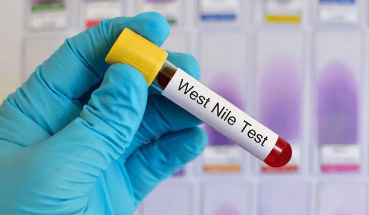 ഡെങ്കിപ്പനിക്ക് പിന്നാലെ വെസ്റ്റ് നൈലും; കൊച്ചിയില്‍ ഒരു മരണം