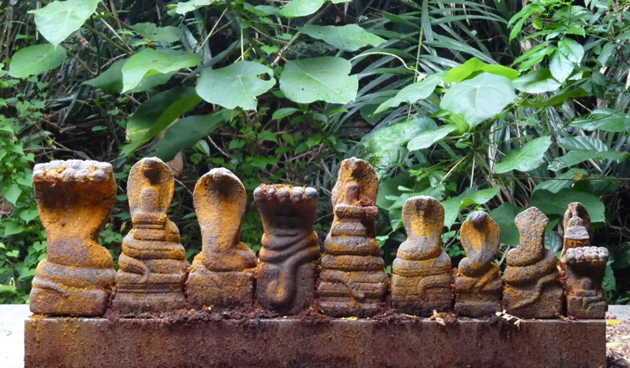 വച്ചാരാധന ഒരു സുപ്രഭാതത്തില്‍ നിര്‍ത്തരുത്