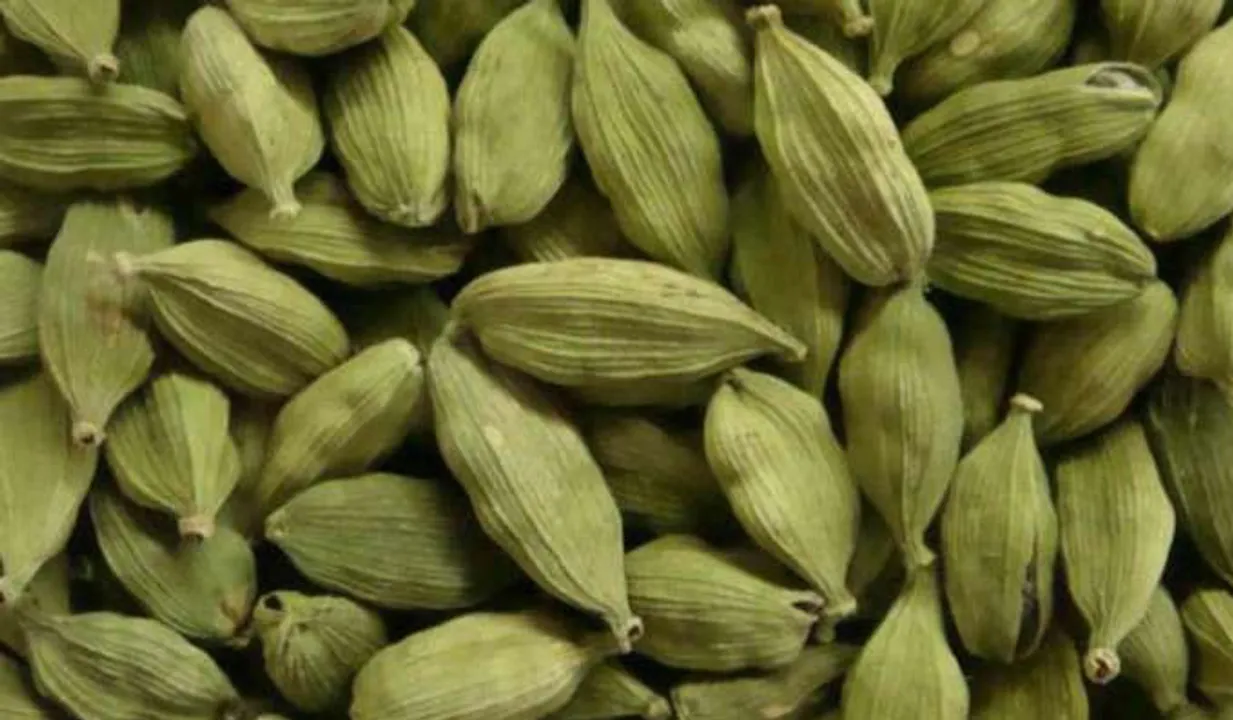    ഏലക്കായുടെ ശരാശരി വിലയില്‍ വീണ്ടും വര്‍ധന