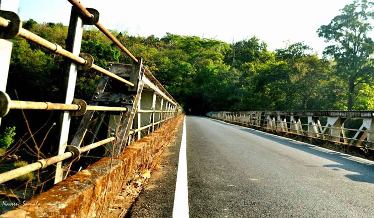 അതിരപ്പിള്ളിയില്‍ കാട്ടാന ആക്രമണം; ദമ്പതികള്‍ക്ക് പരിക്ക്