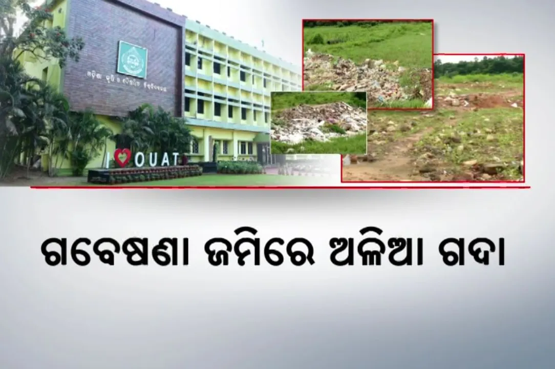  ଗବେଷଣା ଜମିରେ ଅଳିଆ ଗଦା: ପିଲାଙ୍କ ଭବିଷ୍ୟତ ସହ ଖେଳ
