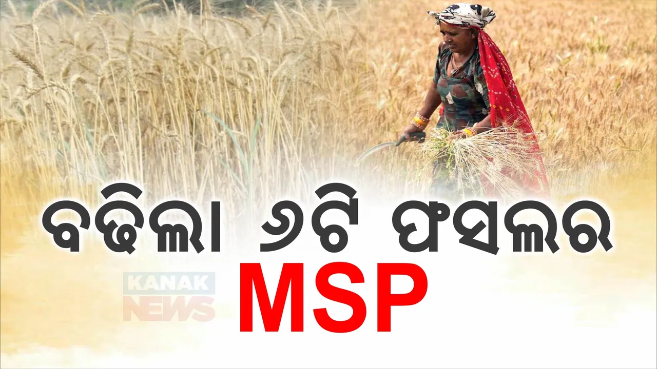  ଚାଷୀଙ୍କୁ କେନ୍ଦ୍ର ସରକାରଙ୍କ ଉପହାର । ୬ଟି ରବି ଫସଲ ଉପରେ ସରକାର ବଢାଇଲେ ସର୍ବନିମ୍ନ ସହାୟକ ମୂଲ୍ୟ
