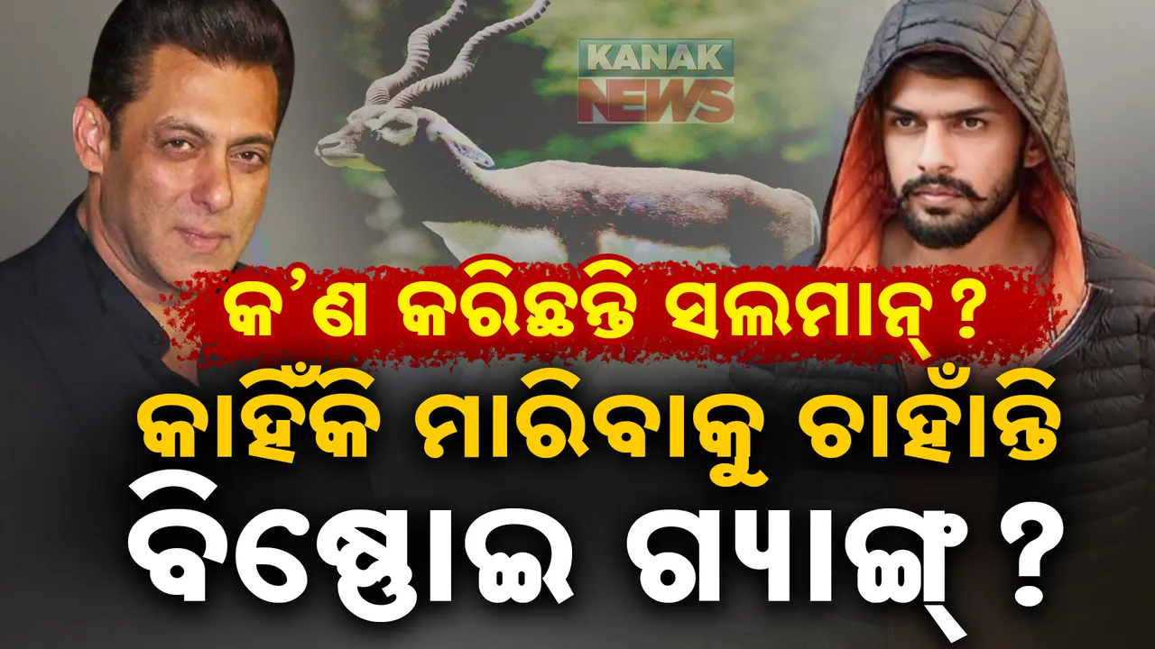  ସଲମାନଙ୍କୁ କାହିଁକି ମାରିବାକୁ ଚାହାଁନ୍ତି ବିଷ୍ଣୋଇ ଗ୍ୟାଙ୍ଗ୍ ? ବିଷ୍ଣୋଇଙ୍କ ପାଇଁ କୃଷ୍ଣସାର ମୃଗ ଏତେ ଖାସ୍ କାହିଁକି ?