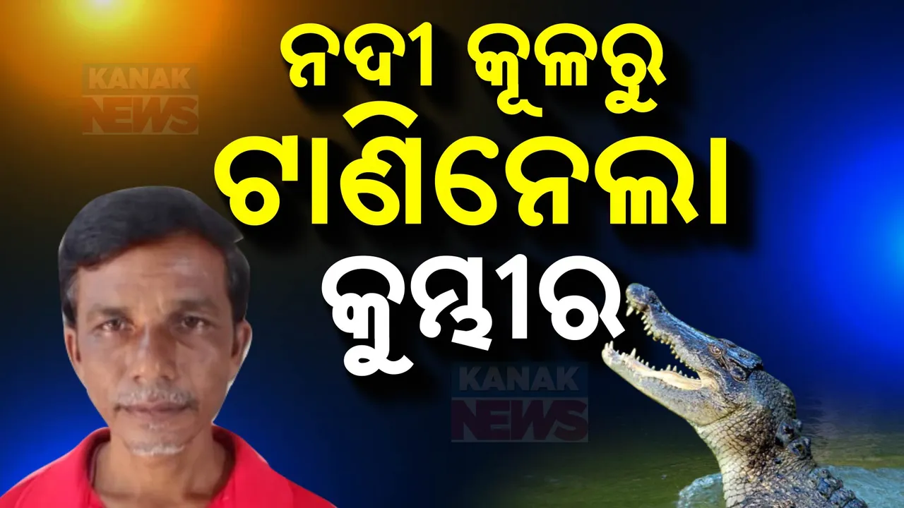 ମହାକାଳପଡା ରଟପଙ୍ଗ ଗାଁରେ ଅଘଟଣ । ନଦୀ କୂଳରୁ ଜଣେ ବ୍ୟକ୍ତିଙ୍କ ଟାଣିନେଲା କୁମ୍ଭୀର । ଡଙ୍ଗା ଯୋଗେ ଚାଲିଛି ଖୋଜାଖୋଜି
