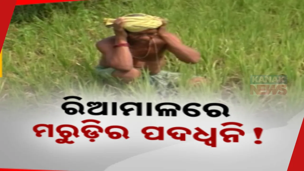  ରିଆମାଳରେ ମରୁଡ଼ିର ପଦଧ୍ୱନି ! ସ୍ୱଳ୍ପ ବୃଷ୍ଟିପାତ ଯୋଗୁଁ ଫାଟି ଆଁ କରିଛି ବିଲ