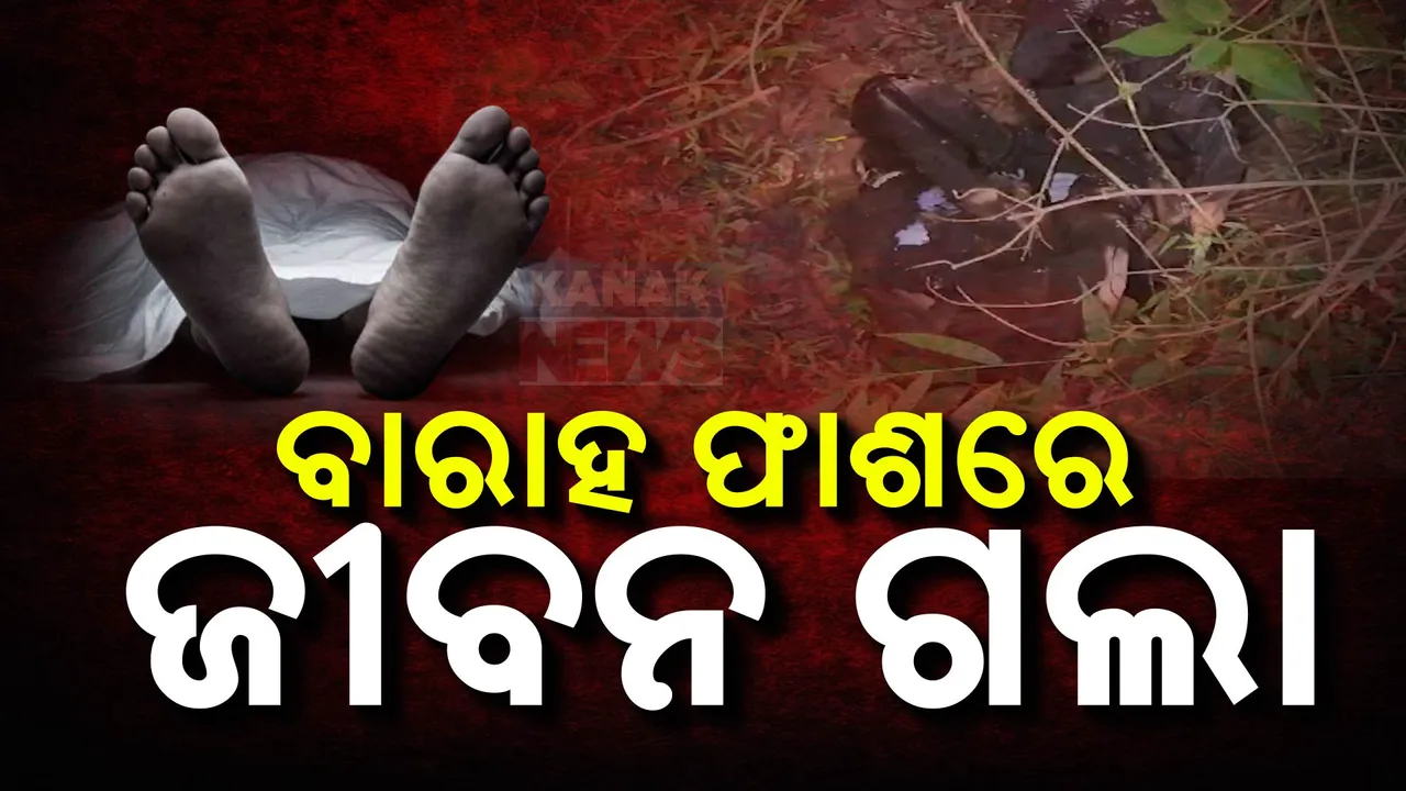  ଖଲିକୋଟ ଗୋପପୁର ଜଙ୍ଗଲରେ ଅଘଟଣ:ବାରାହ ଫାଶରେ ପଡି ଗଲା ମଣିଷ ଜୀବନ