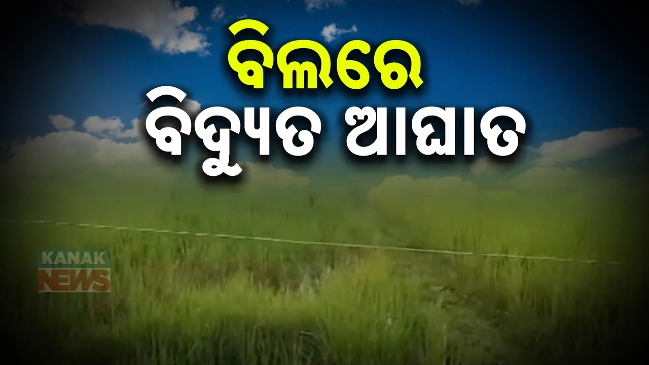  ପୁରୀ ସତ୍ୟବାଦୀ ଭୀମପୁର ଗାଁରେ ଅଘଟଣ : ବିଦ୍ୟୁତ ଆଘାତରେ ଚାଷୀ ମୃତ