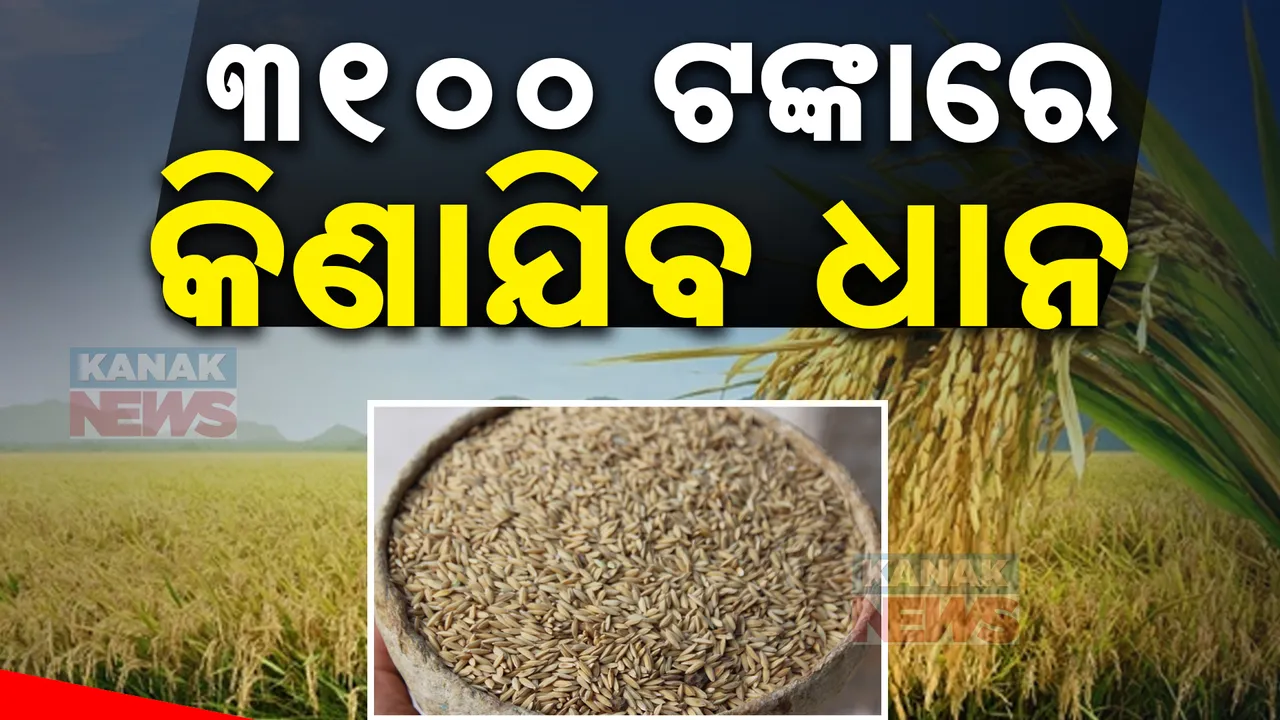  କୁଇଣ୍ଟାଲ ପିଛା ୩୧୦୦ ଟଙ୍କାରେ କିଣାଯିବ ଧାନ: ରାଜ୍ୟ କ୍ୟାବିନେଟ ବୈଠକରେ ମିଳିଲା ଅନୁମୋଦନ