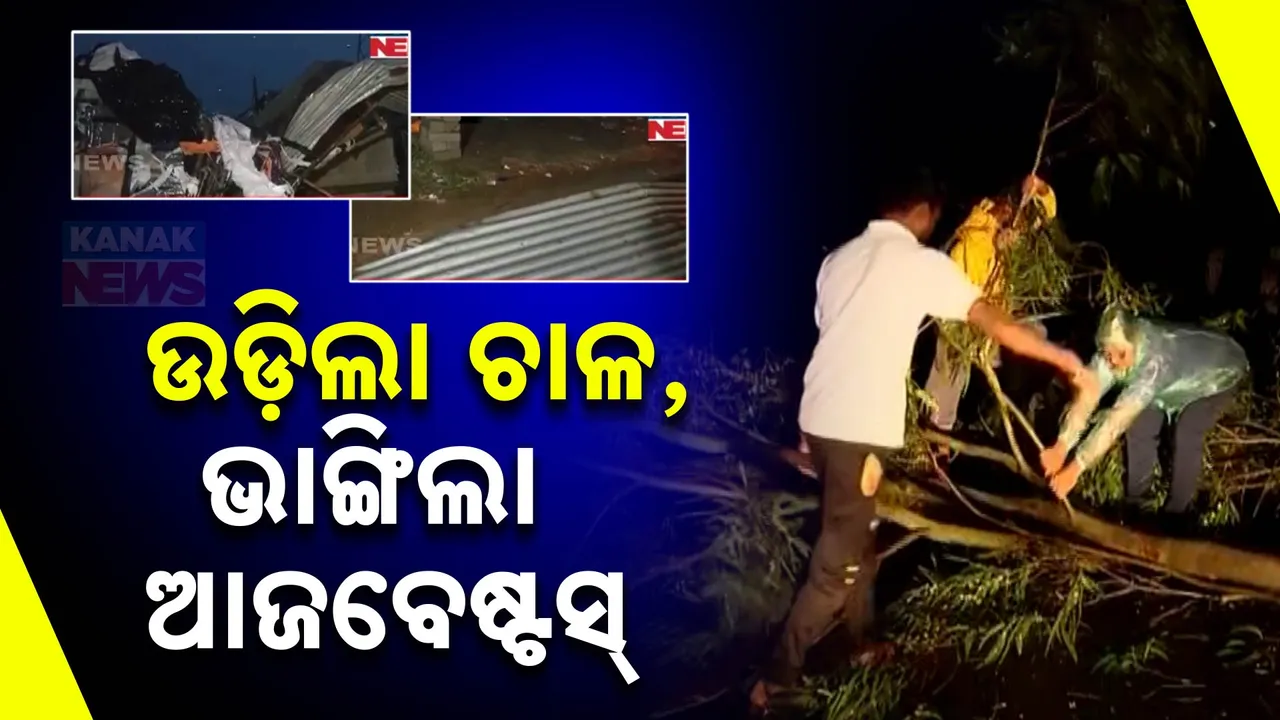  ବାତ୍ୟା ପ୍ରଭାବରେ ଭାଙ୍ଗିଲା ବଡ଼ ବଡ଼ ଗଛ । ଉଡ଼ିଲା ଚାଳ, ଭାଙ୍ଗିଲା ଆଜବେଷ୍ଟସ୍