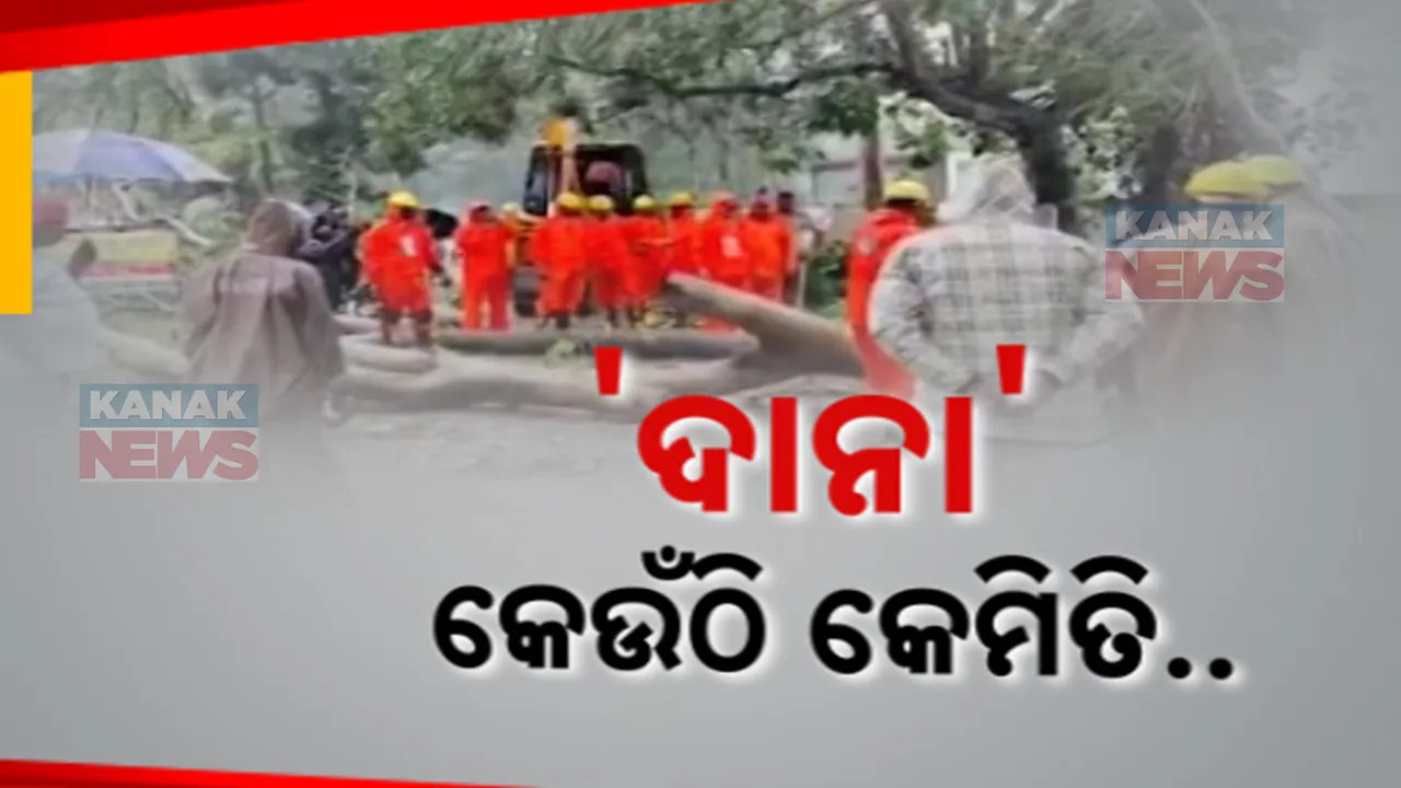 ଛାଡ଼ି ଯାଇଛି ବାତ୍ୟା, ଦେଇ ଯାଇଛି ଦୁଃଖ: କେନ୍ଦ୍ରାପଡ଼ା, ଭଦ୍ରକ ଓ ବାଲେଶ୍ୱର ଉପକୂଳବର୍ତ୍ତୀ ଅଞ୍ଚଳରେ ଉପୁଡ଼ି ପଡ଼ିଛି ଗଛ, ଉଜୁଡ଼ିଛି ଚାଷ